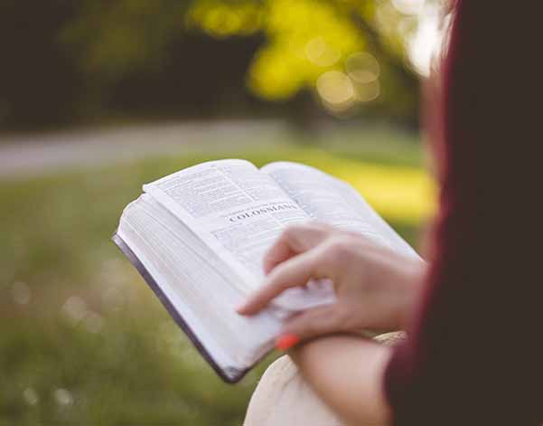 English-class Online reading tutors near me can help your child in NYC Reading tutors for hire.